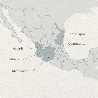 La Norma Oficial Mexicana (NOM)